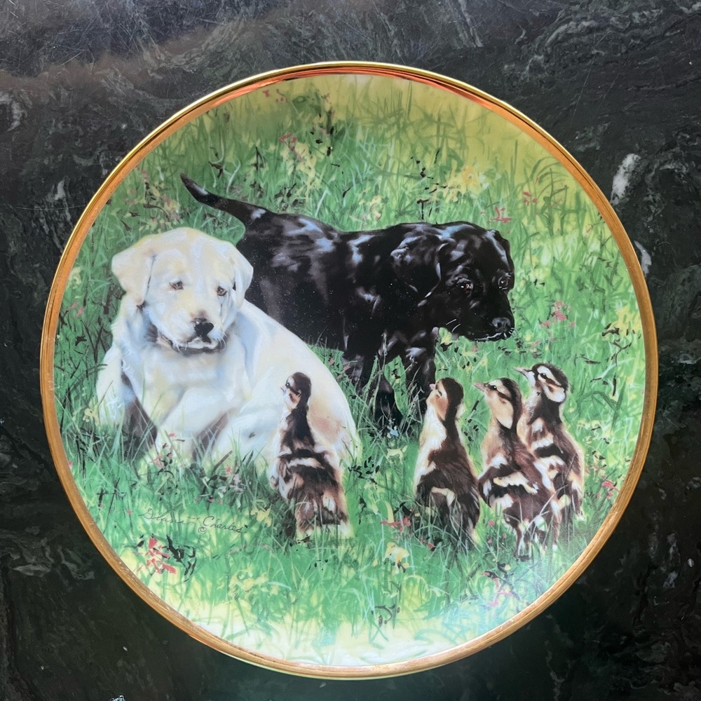 “First Impressions” Decorative Plate.